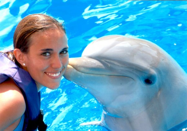 If You Love Dolphins, Don’t Ever Pay to Swim With Them | Blog | PETA Latino