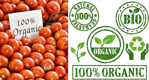 Diferencias entre alimentos orgánicos y naturales - EcologíaVerde
