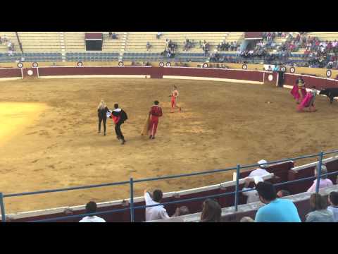 Video: Simpatizante de PETA se apresura a ayudar a toro moribundo en plaza de toros de Albacete. | Blog | PETA Latino