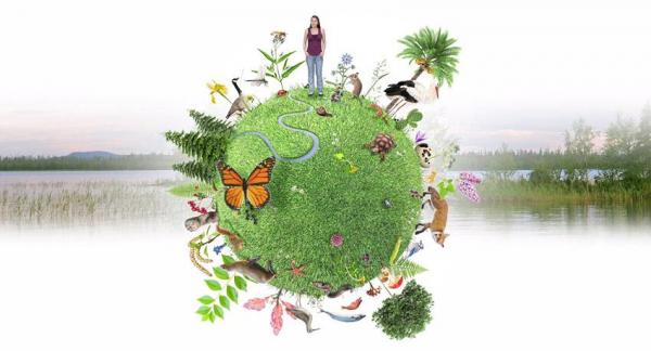 Salvar la biodiversidad, un desafío global - EcologíaVerde