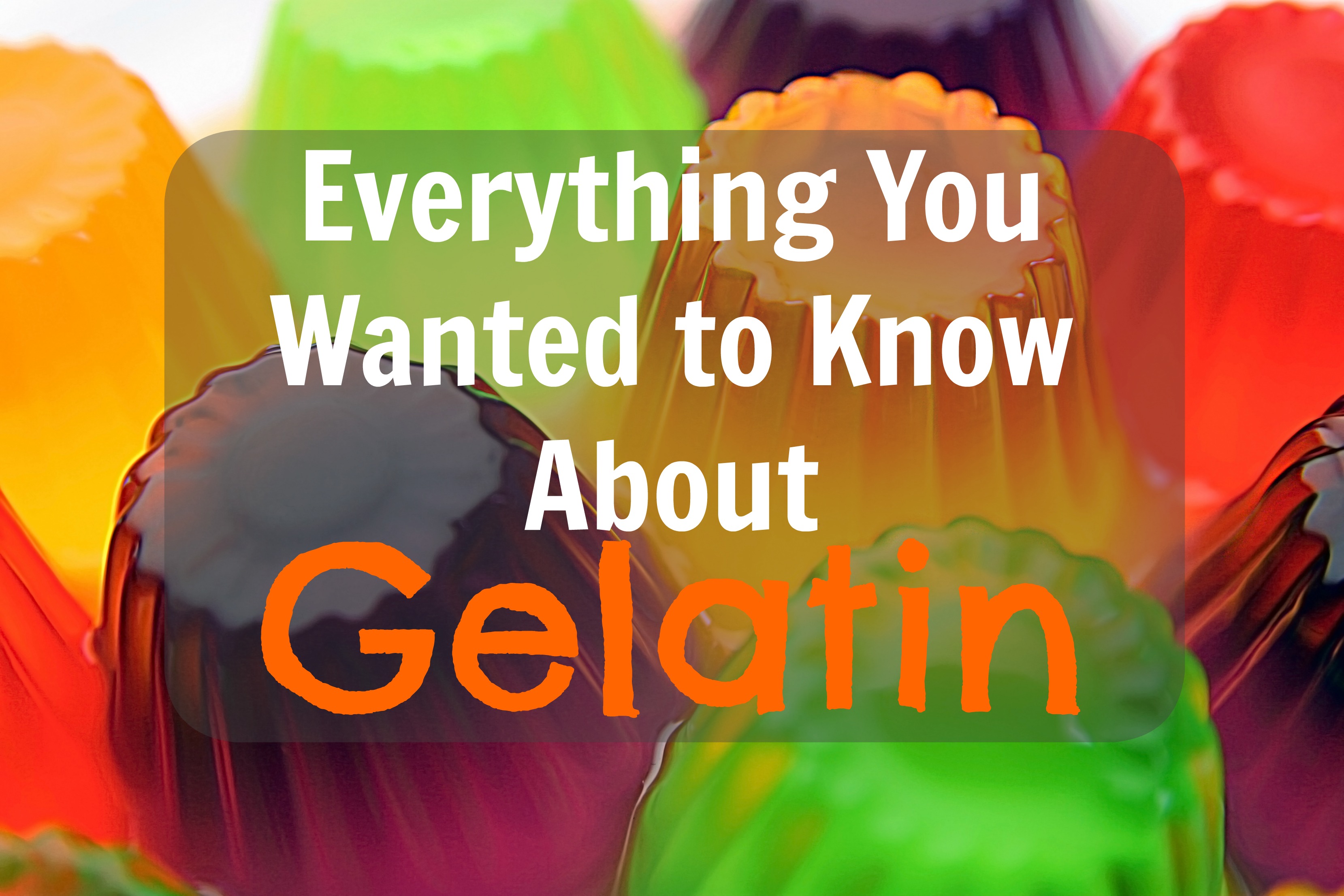 Everything You (Never Really) Wanted to Know About Gelatin | Blog | PETA Latino
