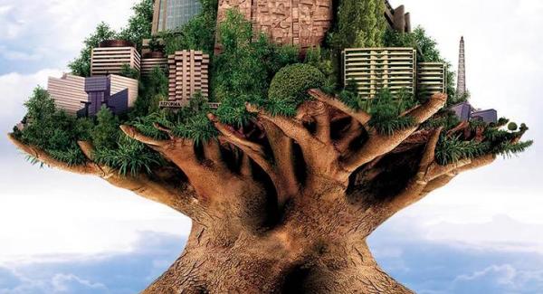 Beneficios de los árboles urbanos - EcologíaVerde