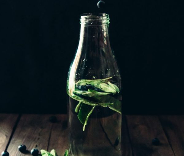 Salbei Heidelbeer Wasser | minzgrün