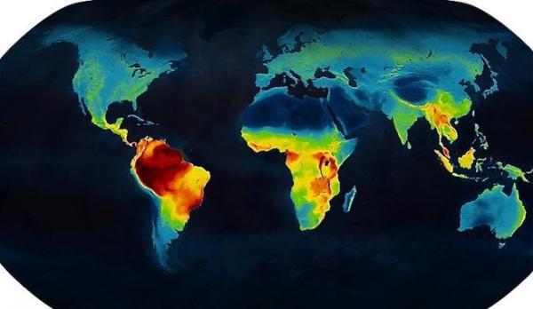 Mapa de la biodiversidad mundial para conservar especies en peligro de extinción