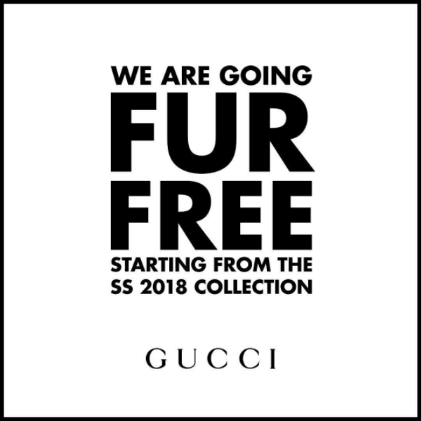 Breaking News: Gucci Ditches Fur | Blog | PETA Latino