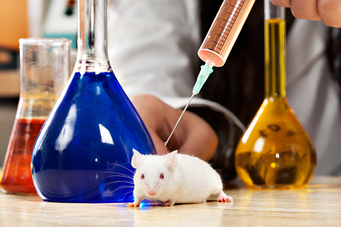 Tierversuche und die Bekämpfung von Krankheiten