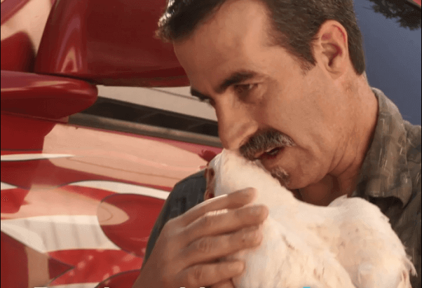 Cutest Thing You’ll See Today: Chicken and Truck Driver Who Saved Her | Blog | PETA Latino