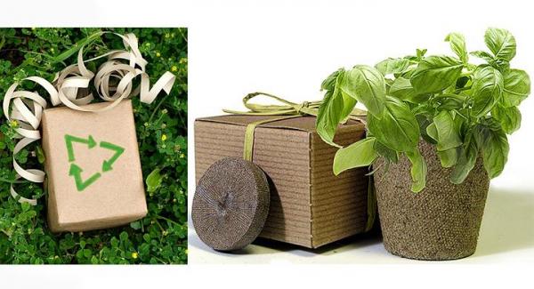 Ideas originales para regalos ecológicos - EcologíaVerde