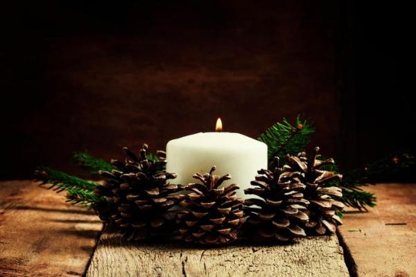 Cómo hacer adornos navideños con piñas - ecológicos y fáciles