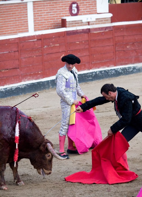 VICTORY: Barbaric ‘Toro de la Vega’ Bull Stabbing Festival Finally Banned! | Blog | PETA Latino
