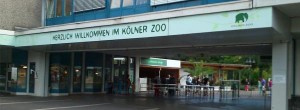 Zoo Osnabrück: Neue Fische und Umbauten im Tetra-Aquarium | zoogast.de