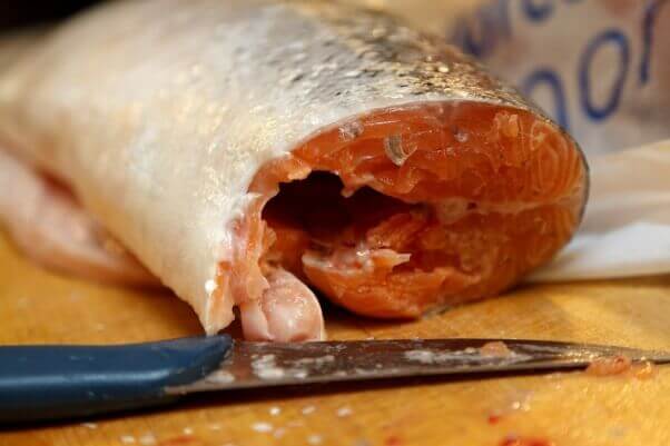 Surprise! Even Fancy Fish Dinners Come With a Garnishing of Worms | Blog | PETA Latino
