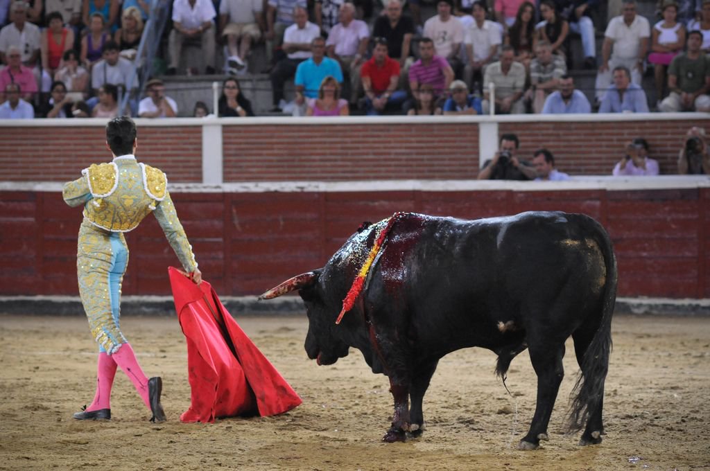 Victory: Coahuila Bans Bullfighting! | Blog | PETA Latino