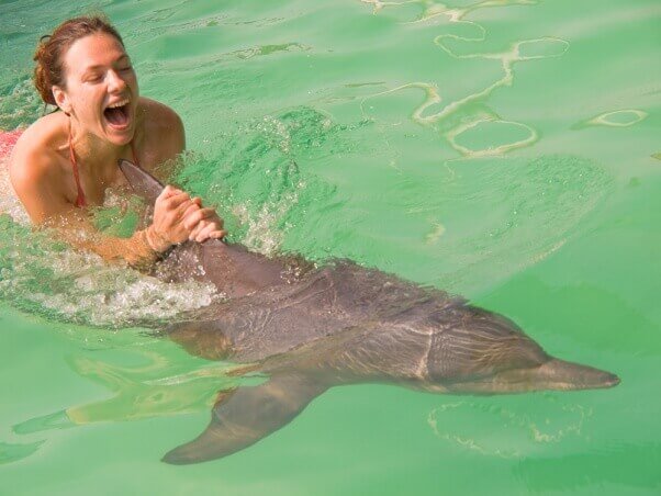 Dolphin Who Battled Cancer Still Forced to Entertain Tourists | Blog | PETA Latino