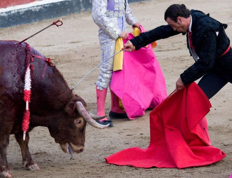 El torero Emiliano Gamero es grabado azotando a su caballo | Blog | PETA Latino
