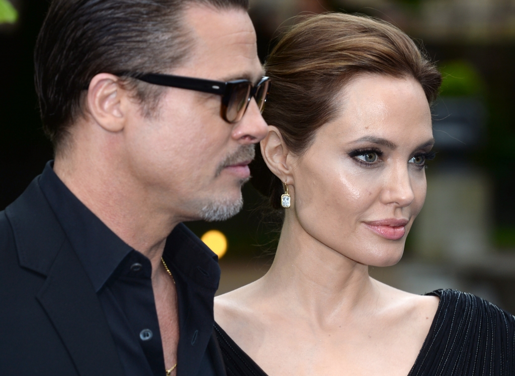 What Did PETA Give Brad Pitt and Angelina Jolie for Their Wedding? | Blog | PETA Latino