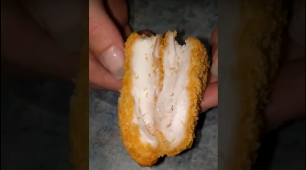 ‘Gusano en pollo’: mujer australiana encuentra larva retorciéndose en pollo | Blog | PETA Latino
