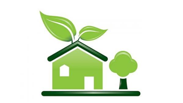 Cómo cuidar el medio ambiente - EcologíaVerde