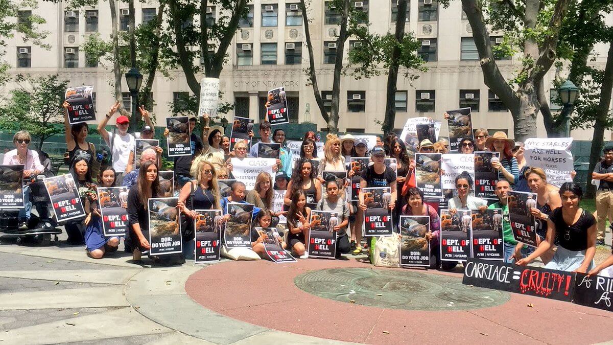 PETA Members Join NYCLASS to Protest Cruel Horse-Drawn Carriages in New York | Blog | PETA Latino
