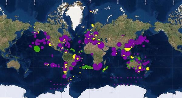 Mapa mundial de basura en los océanos - EcologíaVerde