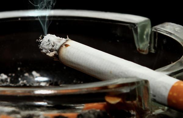 Efectos del tabaco en el medioambiente - EcologíaVerde
