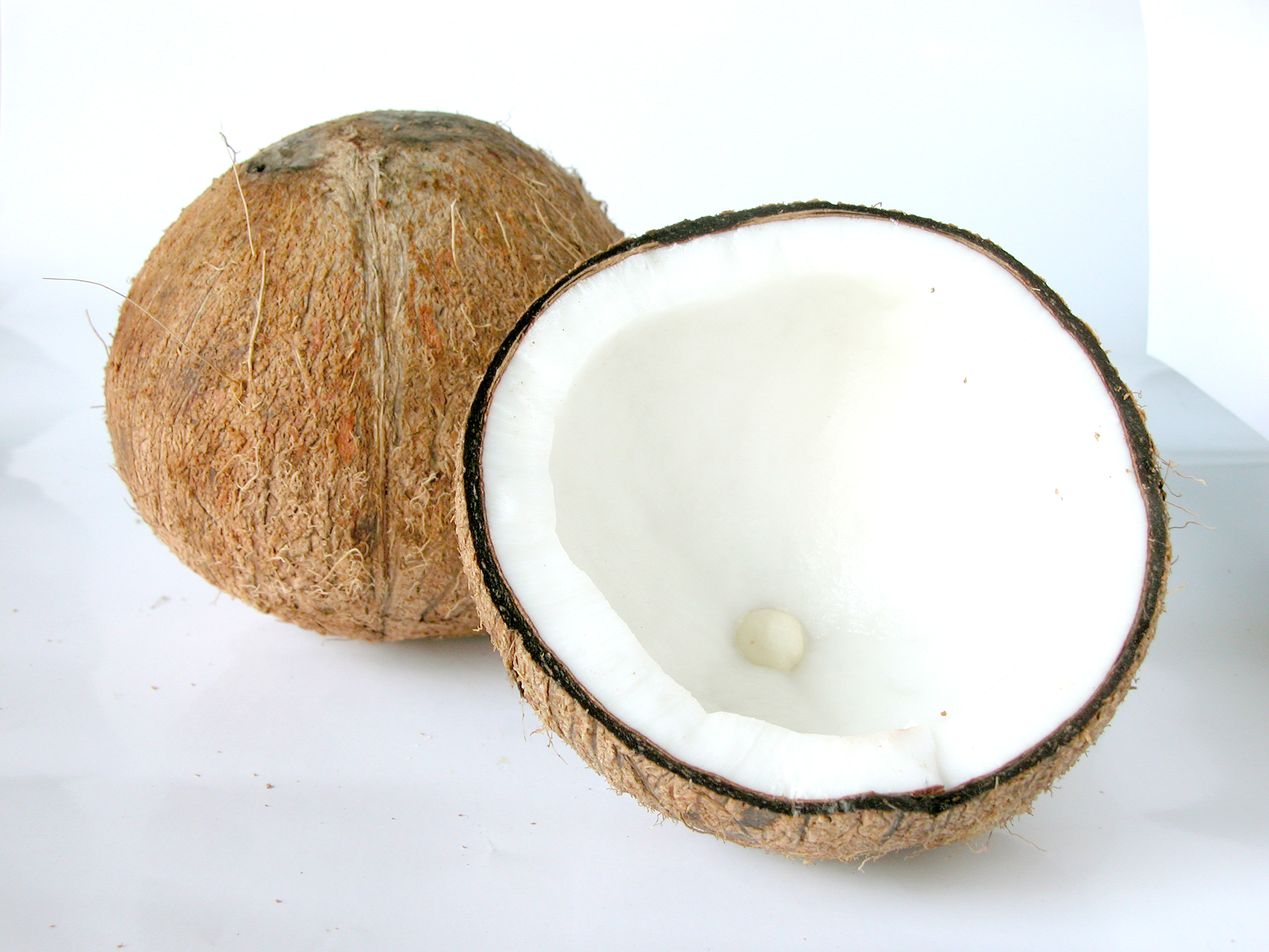 30 Ways to Use Coconut Oil for Humans and Animals! | Blog | PETA Latino