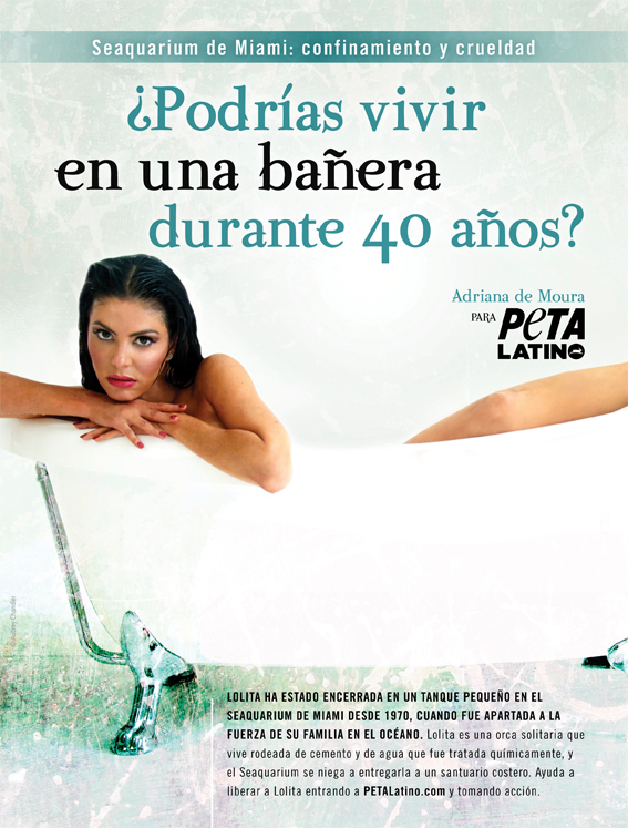 'Real Housewife' Pushes for Real Life for Captive Orca | Blog | PETA Latino