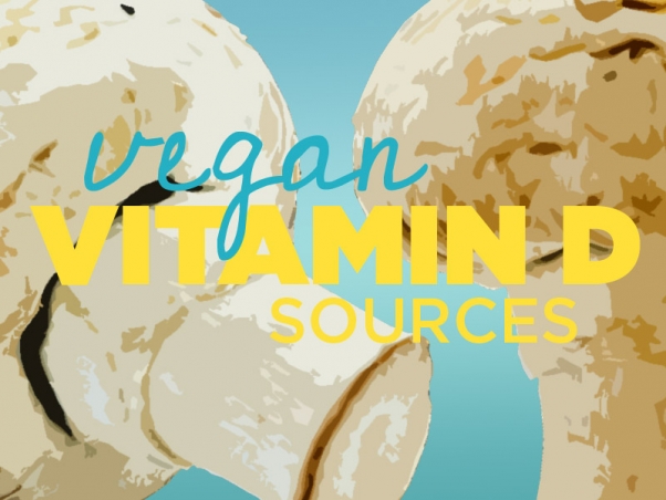 5 formas de aumentar tu consumo de vitamina D | Blog | PETA Latino