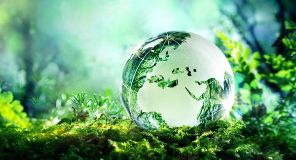 5 buenos propósitos para cuidar el planeta - EcologíaVerde
