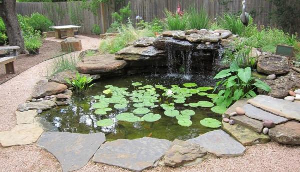 Consejos para un buen mantenimiento de tu estanque - EcologíaVerde