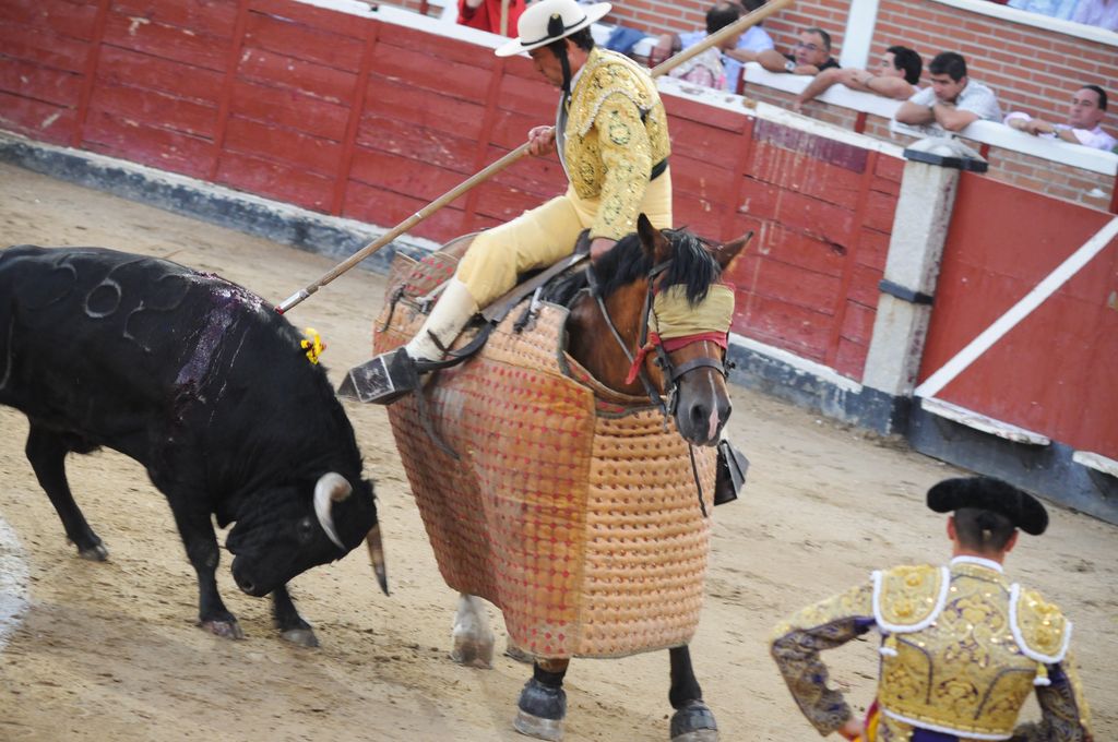 ¡Guerrero prohíbe las corridas de toros, los carruajes tirados por caballos y más! | Blog | PETA Latino