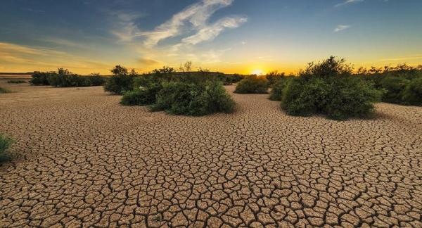 Cambio climático: ¿Qué causa el efecto invernadero? - EcologíaVerde