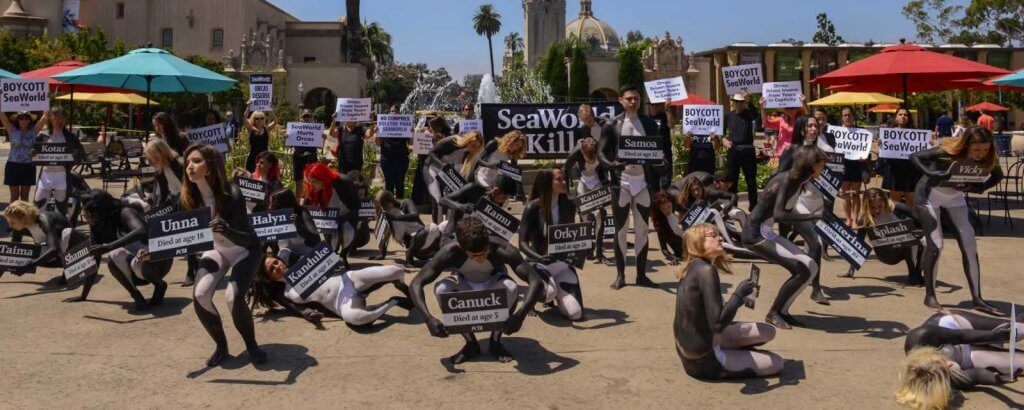 Manadas de ‘Orcas’ pintadas realizan una ‘muerte’ masiva en San Diego | Blog | PETA Latino