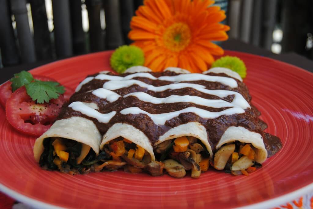 Enchilada and Quesadilla Recipes That Will Wow Your Family and Friends | Blog | PETA Latino