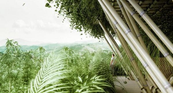 ¿Las ciudades del futuro serán de bambú? - Descúbrelo - EcologíaVerde