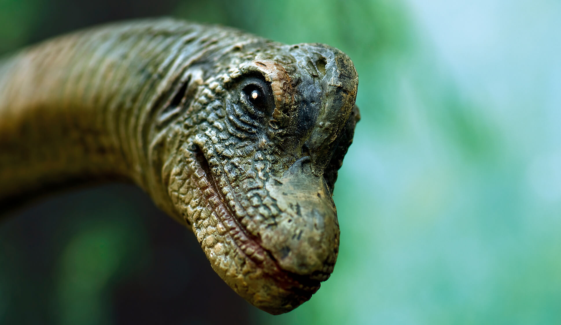 The Next 'Jurassic Park' Movie Just Might Change the Way You Look at Animal Rights | Blog | PETA Latino