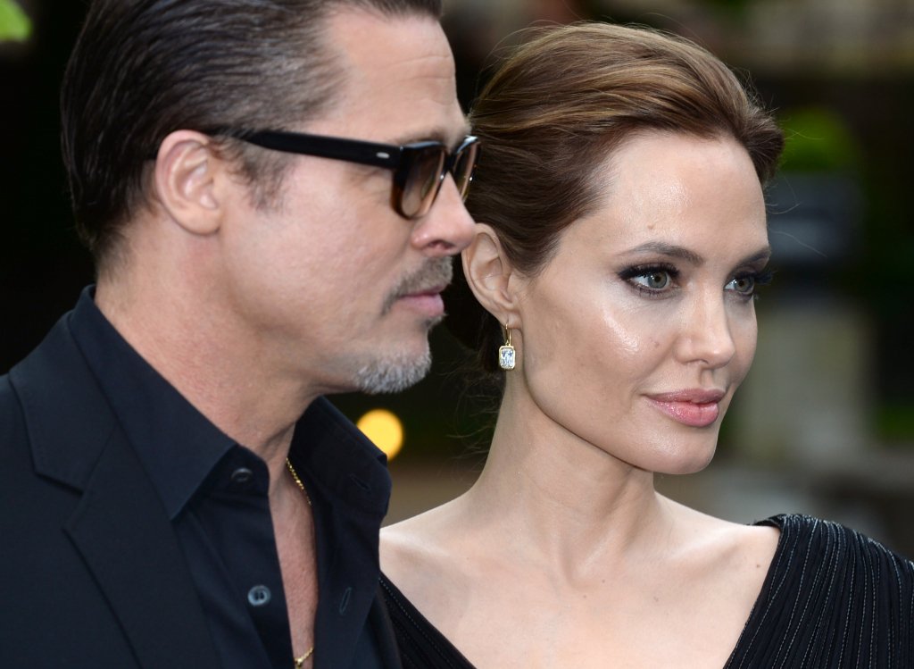 Brad Pitt y Angelina Jolie se casaron, y Brad y Angie fueron rescatados | Blog | PETA Latino