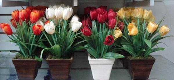 Plantar tulipanes en macetas - EcologíaVerde