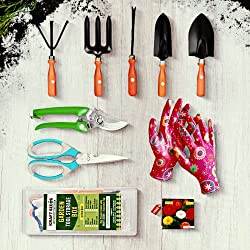 Top 10  Gardening Online India 2022 at - Toptopdeal.in
