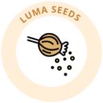 Luma Seeds
