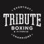 Tribute Boxing and Fitness - Tips for Effective Mitt Training