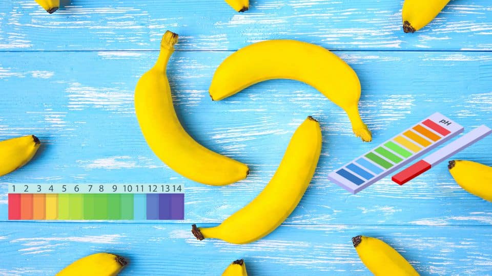 PH Of Banana - Are Bananas Acidic Or Alkaline