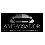 Ambassador Airport Profile Picture