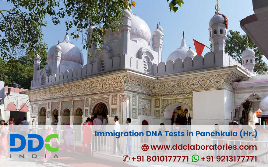 Find the Best and Accredited Lab for Immigration DNA Tests in Panchkula