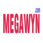 MegaWyn com Profile Picture