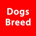 Dog Breed Org