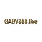 gasv368 live Profile Picture