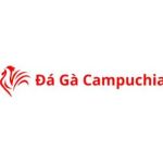 Đá Gà Campuchia Profile Picture