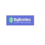 Bigbird web Profile Picture