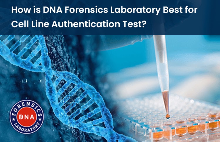 Method and Errors of Human Cell Line Authentication DNA Tests
